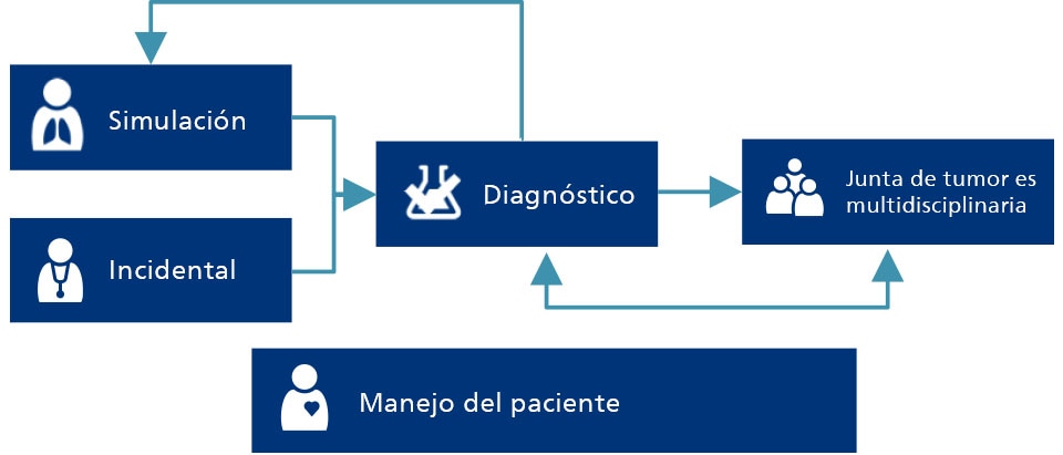 Philips Lung Cancer Orchestrator