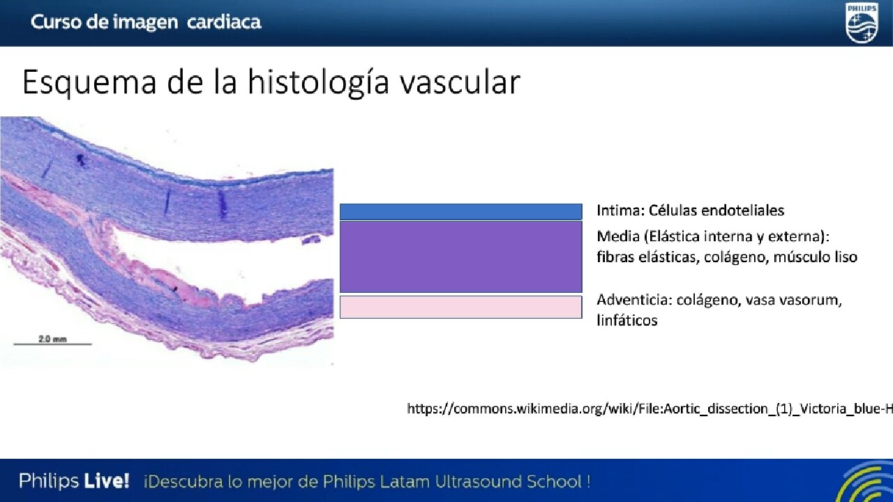 Curso de Imagen Cardiaca