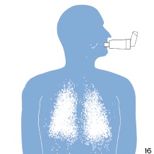 Inhalador con cámara